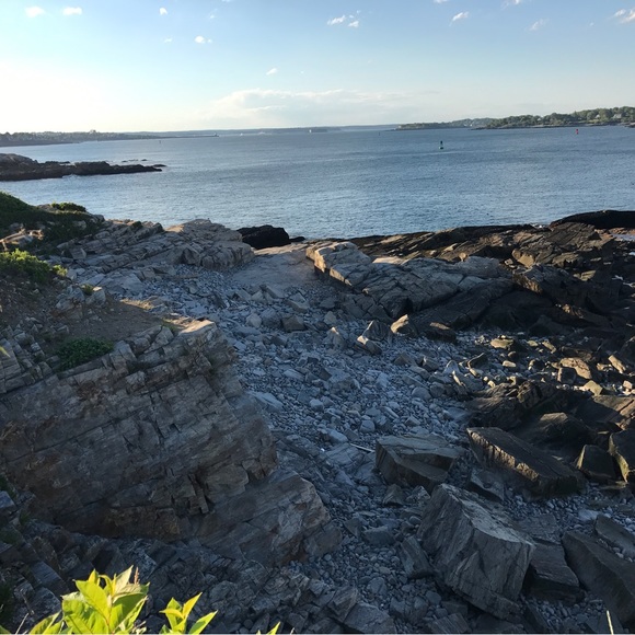 Like This Post! You’ll Be Notified When I Go Live! - Picture 2 of 2